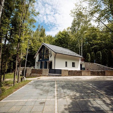 Vila Blanc Valiug Crivaia Екстер'єр фото