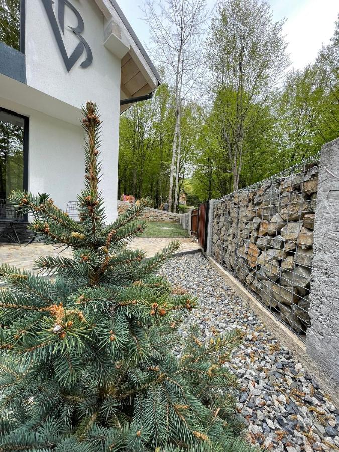 Vila Blanc Valiug Crivaia Екстер'єр фото