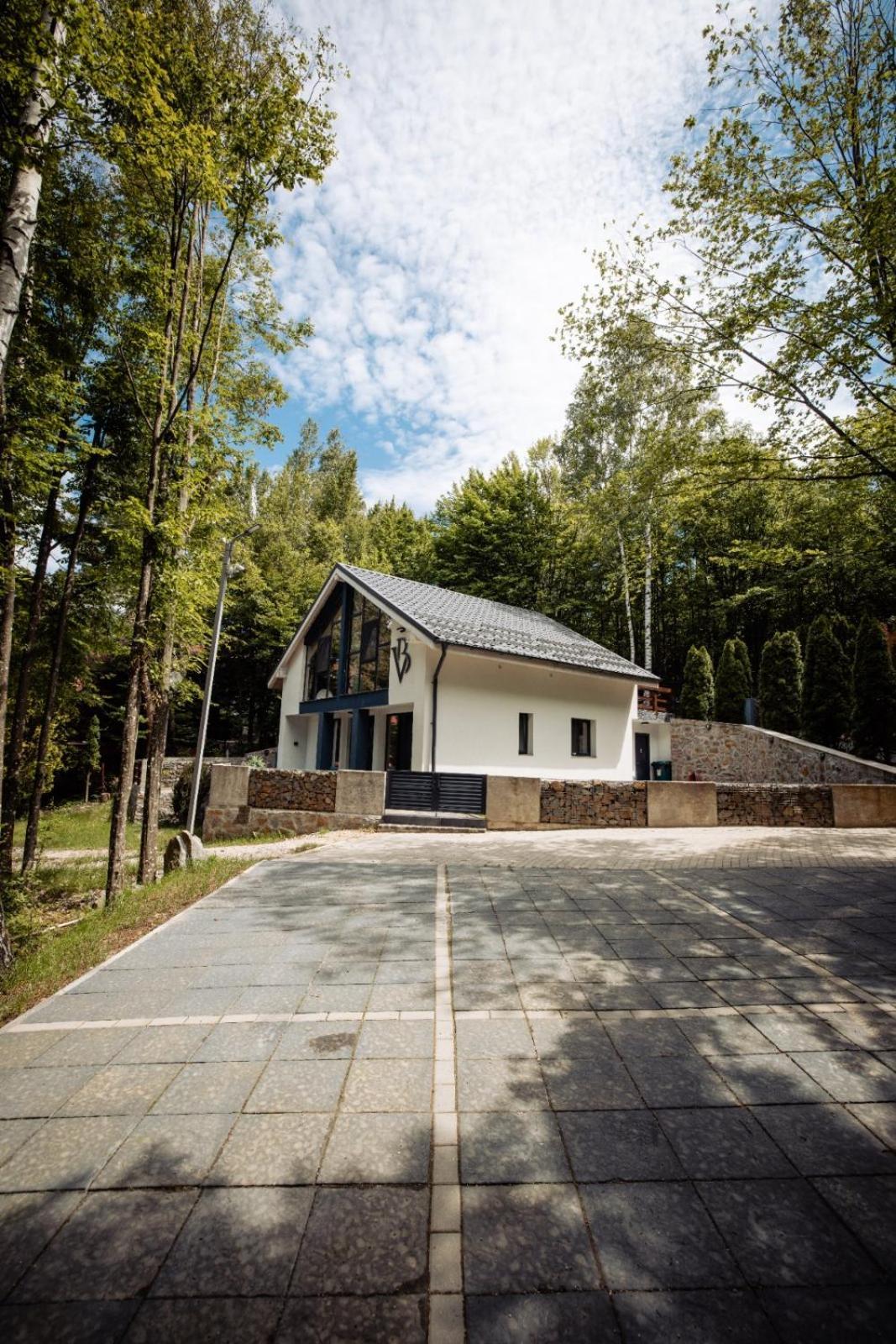 Vila Blanc Valiug Crivaia Екстер'єр фото